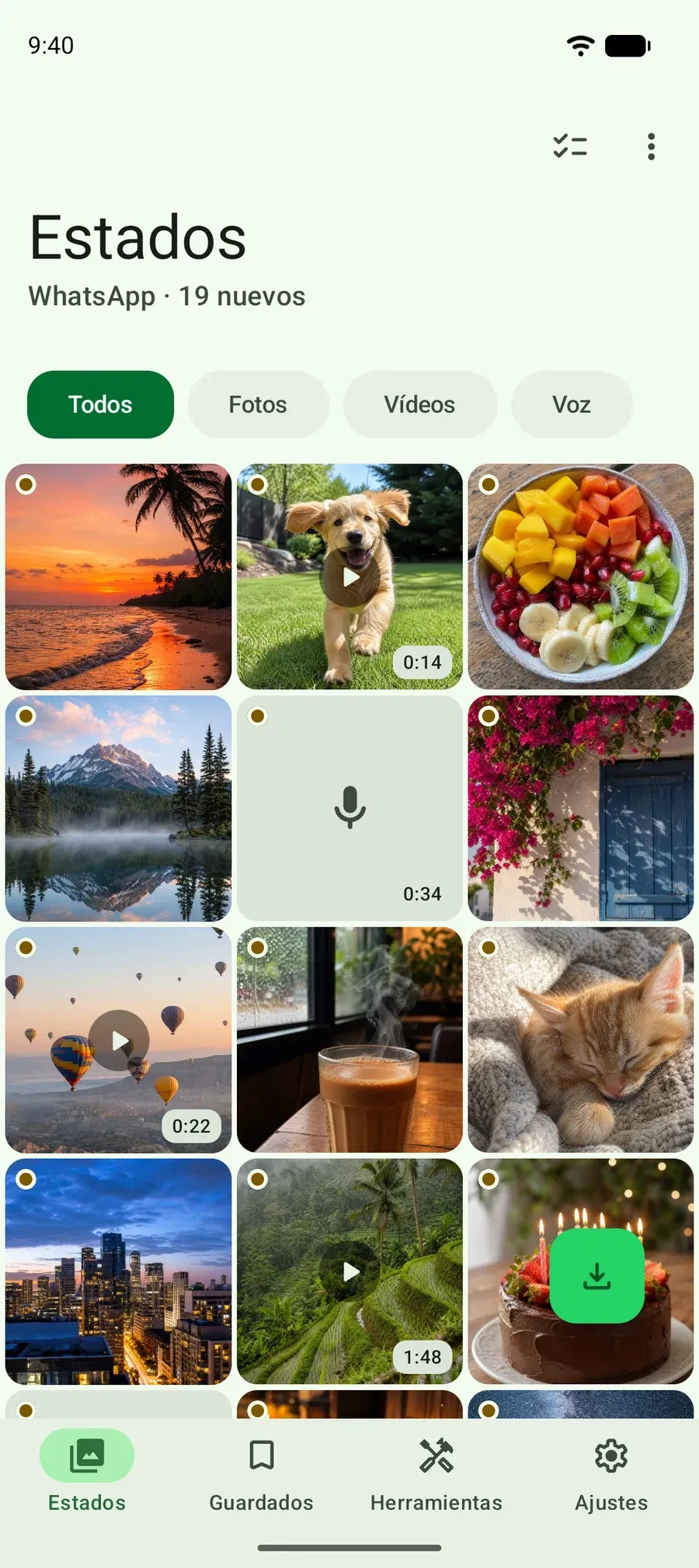 App Selu: una cuadrícula de fotos y videos de estados que ya viste, listos para guardar.