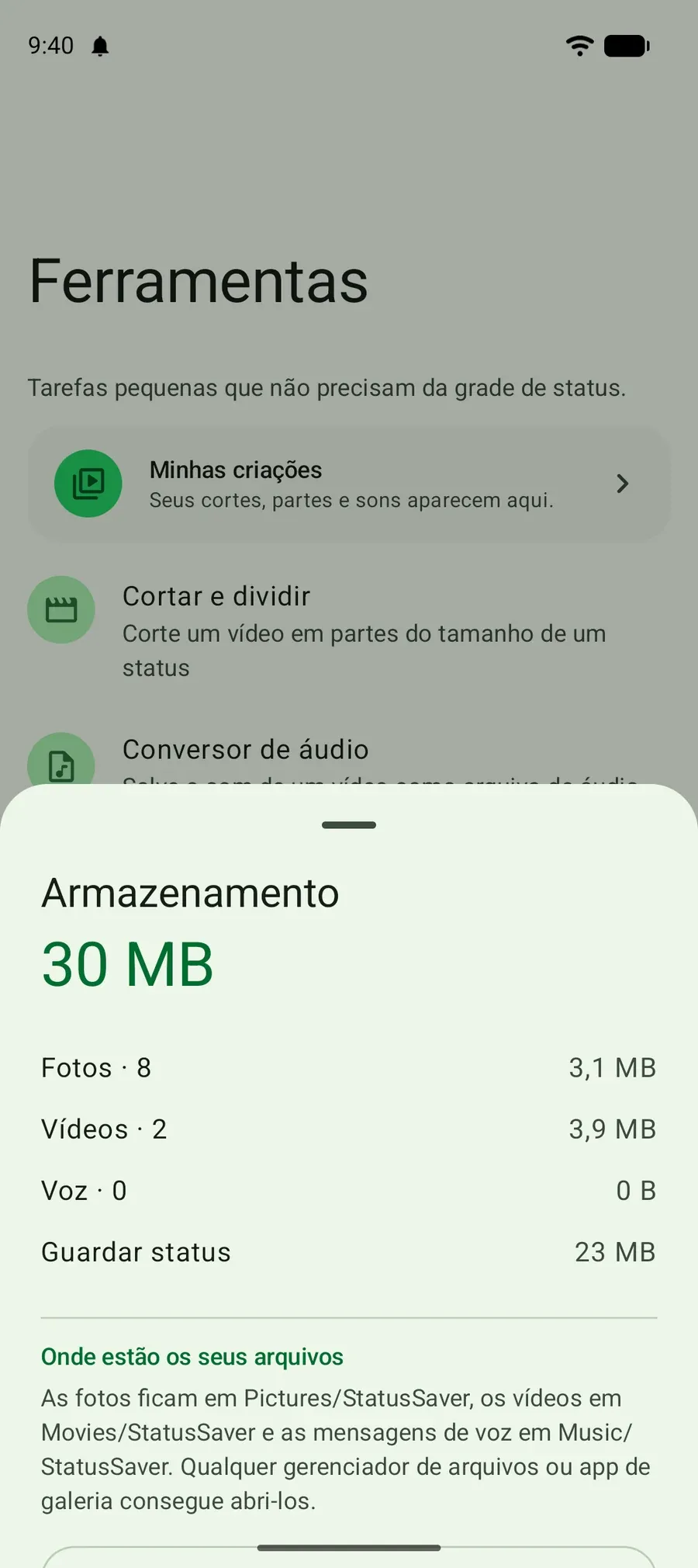 A folha Armazenamento: quanto espaço ocupam as fotos, vídeos e áudios salvos, e onde ficam os arquivos.
