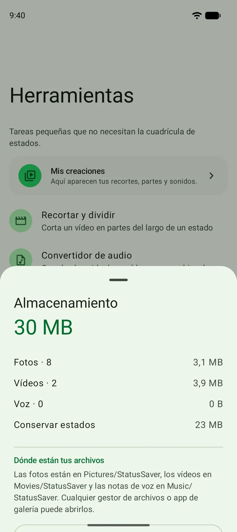 La hoja Almacenamiento: cuánto espacio ocupan las fotos, videos y notas de voz guardadas, y dónde están los archivos.