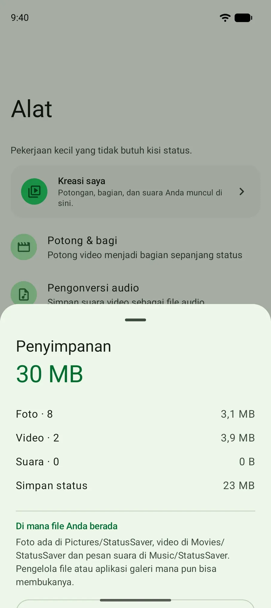 Lembar Penyimpanan: berapa ruang yang dipakai foto, video, dan pesan suara yang disimpan, dan di mana berkasnya.